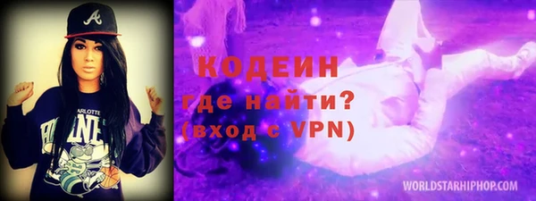 молекула духа Богданович