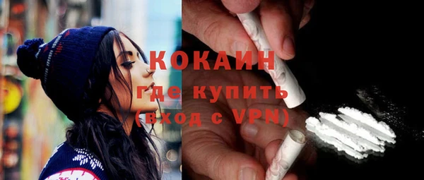 молекула духа Богданович