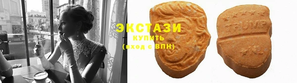 молекула духа Богданович