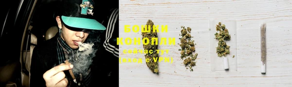 соль ск Богородск