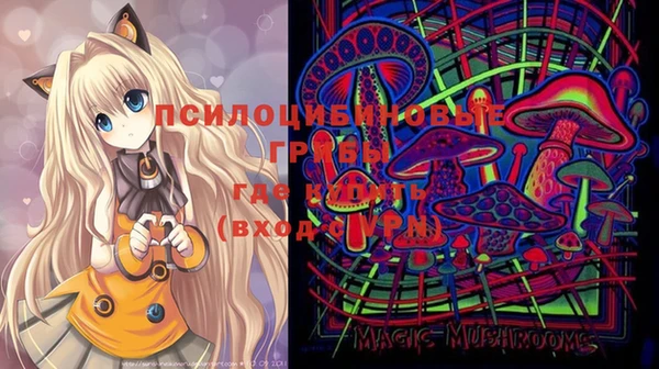 MDMA Богородицк